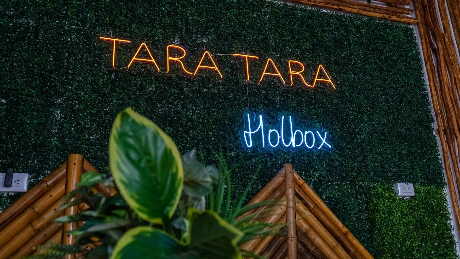 Tara Tara Hotel Isla Holbox 0*,