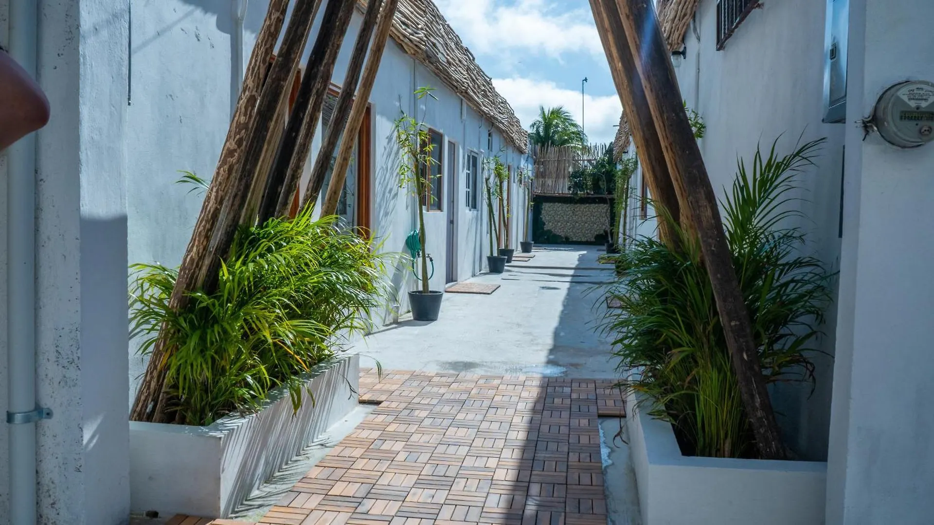 Tara Tara Hotel Isla Holbox
