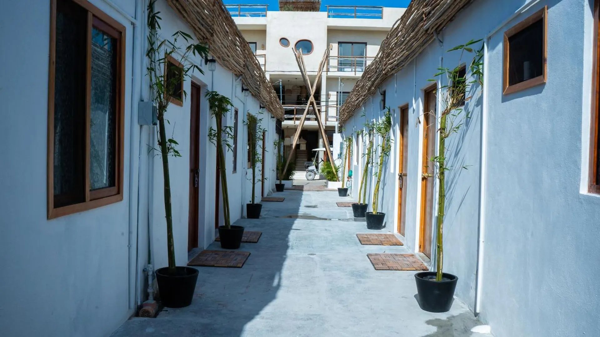 Tara Tara Hotel Isla Holbox Mexico