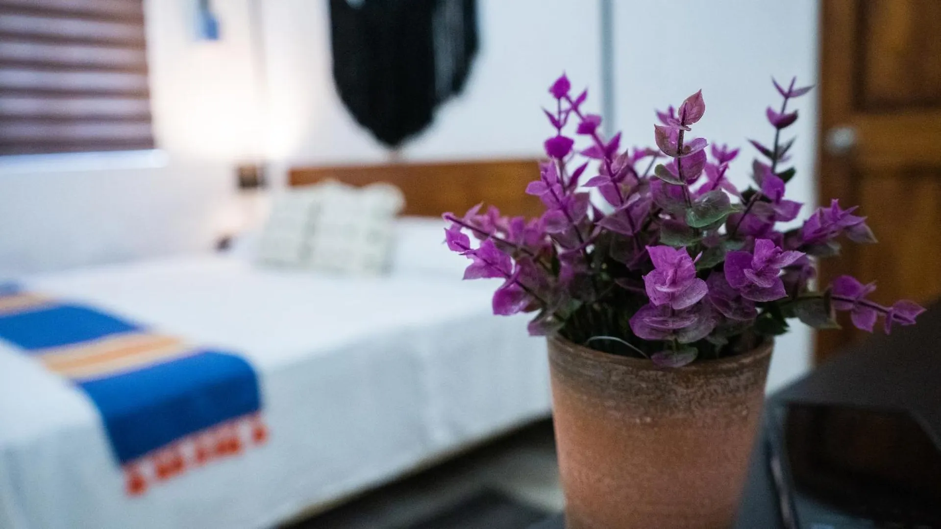 Tara Tara Hotel Isla Holbox 0*,  Μεξικό